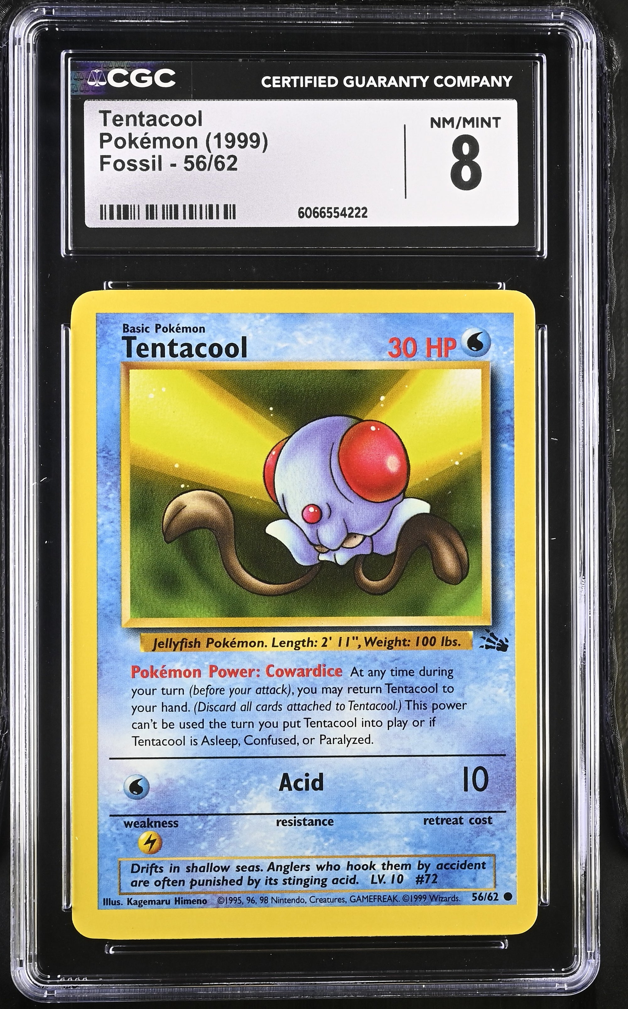 1999 Fossil 